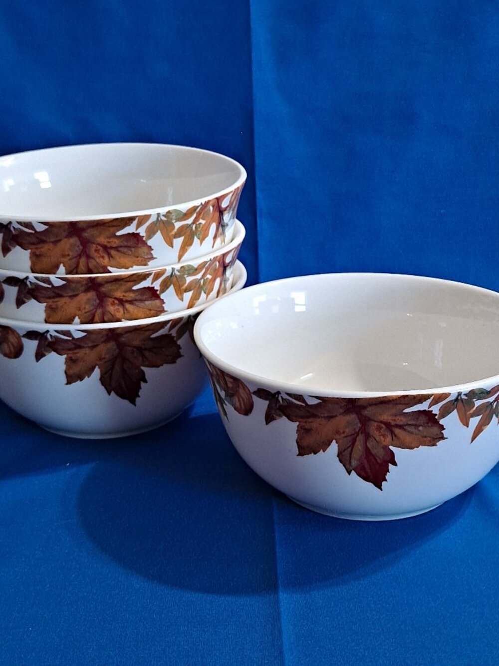 Lot 4 Royal Norfolk LEAF 6" SOUP BOWLS Cereal Thanksgiving Fall Leaves Autumn